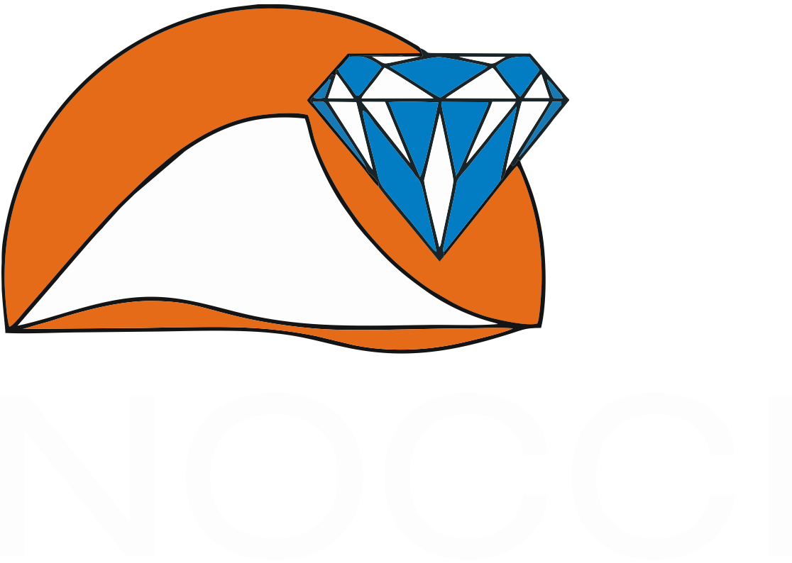 NOCCI - Logo New 2025 - Left Aligned White Text